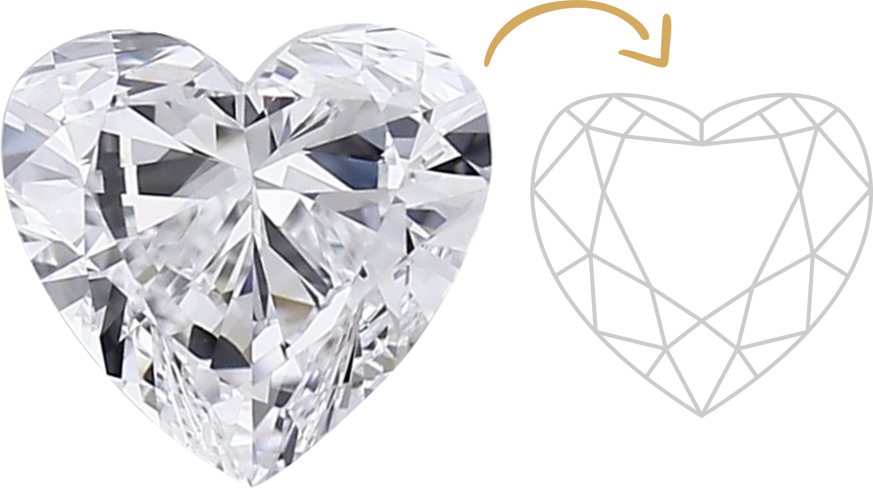 Heart Cut